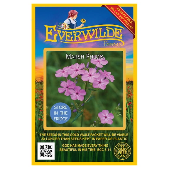 Everwilde Farms 15 Marsh Phlox Flower Seeds, Native Wildflower