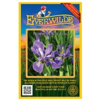Everwilde Farms - 15 Northern Blue Flag Native Wildflower Seeds - Gold Vault Seed Packet