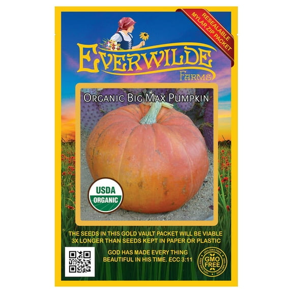Everwilde Farms - 15 Organic Big Max Pumpkin Seeds - Gold Vault Jumbo Bulk Seed Packet