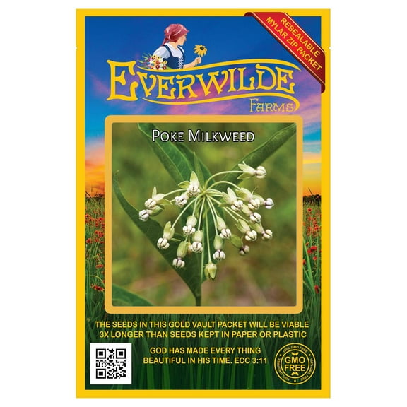 Everwilde Farms - 15 Poke Milkweed Native Wildflower Seeds - Gold Vault Seed Packet