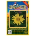 thumbnail image 1 of Everwilde Farms - 15 Prairie Dock Native Wildflower Seeds - Gold Vault Seed Packet, 1 of 5