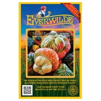 Everwilde Farms - 15 Turk's Turban Gourd Seeds - Gold Vault Seed Packet