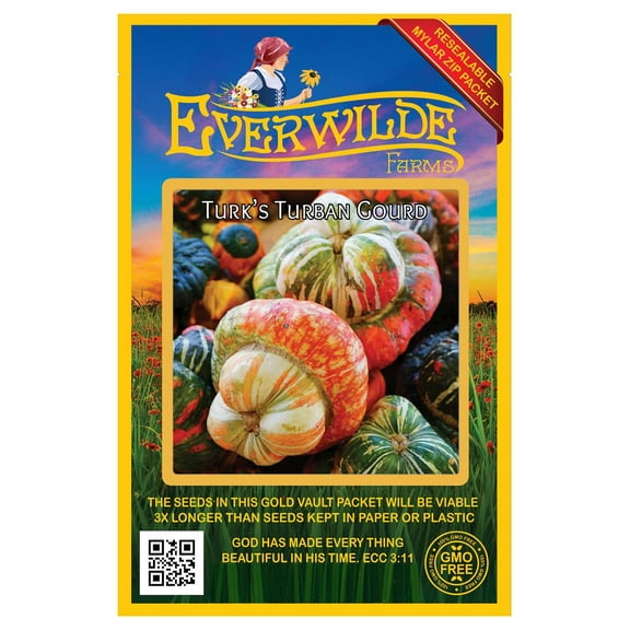 Everwilde Farms - 15 Turk's Turban Gourd Seeds - Gold Vault Seed Packet