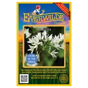 Everwilde Farms - 15 Wild Leek Native Wildflower Seeds - Gold Vault Jumbo Bulk Seed Packet
