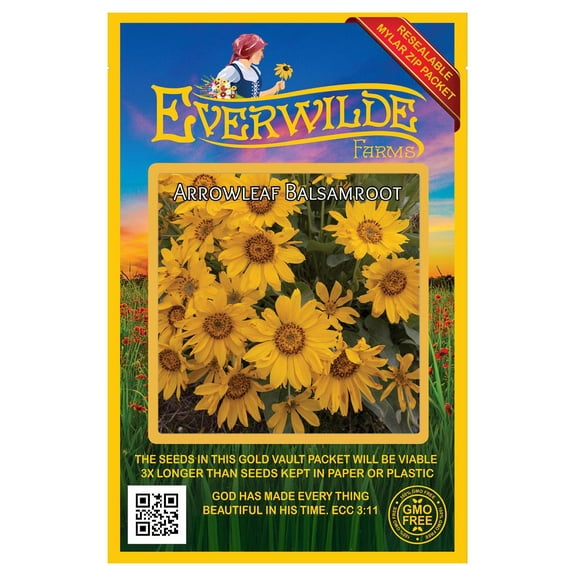 Everwilde Farms - 150 Arrowleaf Balsamroot Native Wildflower Seeds - Gold Vault Jumbo Bulk Seed Packet
