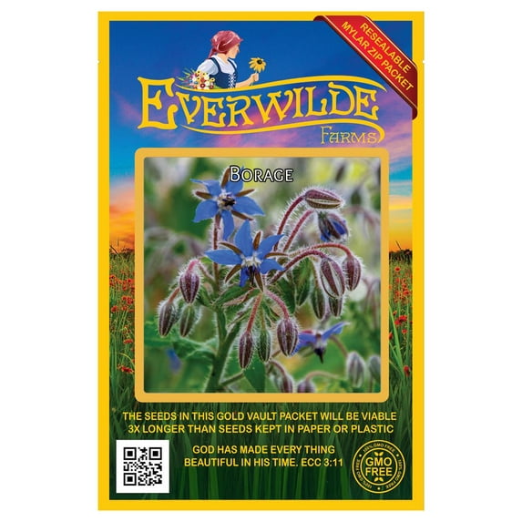 Everwilde Farms - 150 Borage Herb Seeds - Gold Vault Jumbo Bulk Seed Packet