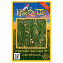 Everwilde Farms - 150 Chairmaker's Rush Native Grass Seeds - Gold Vault Seed Packet
