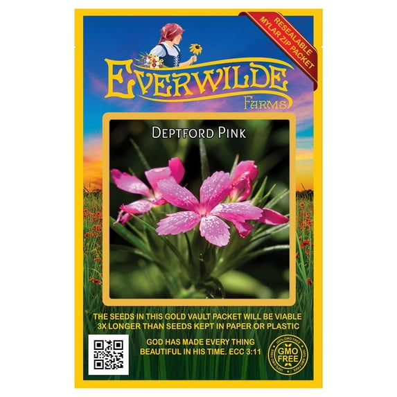 Everwilde Farms - 150 Deptford Pink Garden Flower Seeds - Gold Vault Jumbo Bulk Seed Packet