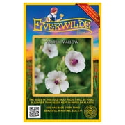 Everwilde Farms - 150 Marsh Mallow Garden Flower Seeds - Gold Vault Jumbo Bulk Seed Packet