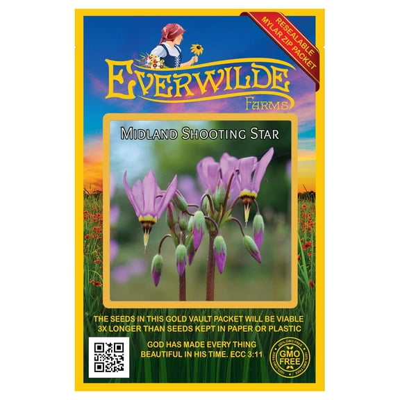 Everwilde Farms - 150 Midland Shooting Star Native Wildflower Seeds - Gold Vault Seed Packet