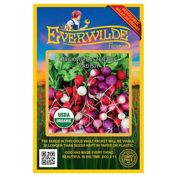 Everwilde Farms - 150 Organic Easter Egg Radish Seeds - Gold Vault Jumbo Bulk Seed Packet