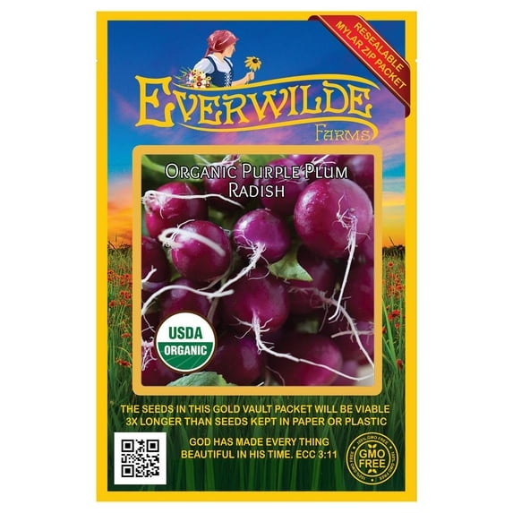 Everwilde Farms - 150 Organic Purple Plum Radish Seeds - Gold Vault Jumbo Bulk Seed Packet