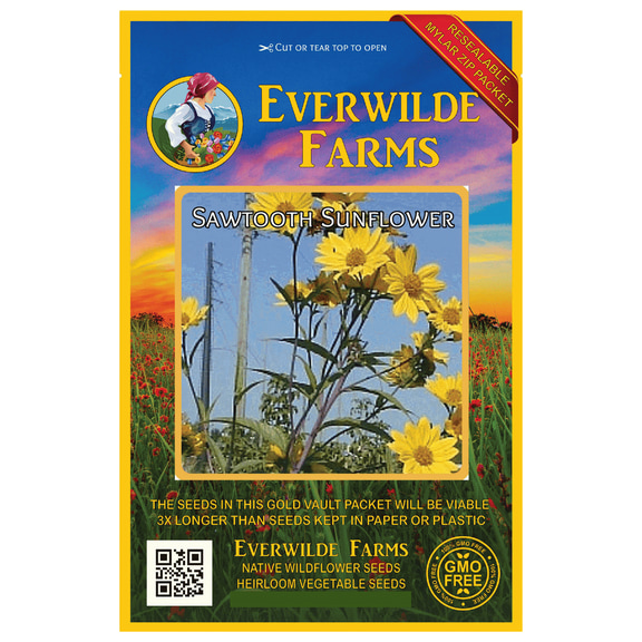 Everwilde Farms - 150 Saw-Tooth Sunflower Native Wildflower Seeds - Gold Vault Seed Packet