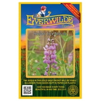 Everwilde Farms - 150 Showy Tick Trefoil Native Wildflower Seeds - Gold Vault Jumbo Bulk Seed Packet
