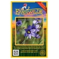 thumbnail image 1 of Everwilde Farms - 150 Stout Blue-Eyed Grass Native Wildflower Seeds - Gold Vault Seed Packet, 1 of 5