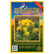 Everwilde Farms - 1750 Stiff Goldenrod Native Wildflower Seeds - Gold Vault Jumbo Bulk Seed Packet