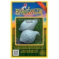 thumbnail image 1 of Everwilde Farms - 20 Blue Hubbard Winter Squash Seeds - Gold Vault Seed Packet, 1 of 5
