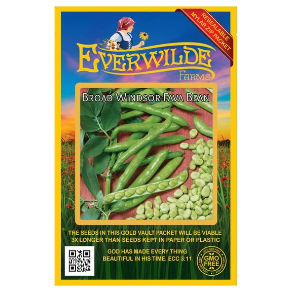 Everwilde Farms - 20 Fava Broad Windsor Fava Bean Seeds - Gold Vault Seed Packet