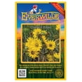 thumbnail image 1 of Everwilde Farms - 20 Compass Plant Native Wildflower Seeds - Gold Vault Seed Packet, 1 of 5