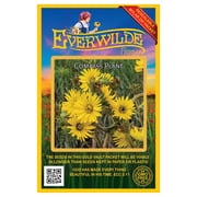 Everwilde Farms - 20 Compass Plant Native Wildflower Seeds - Gold Vault Seed Packet