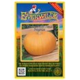 thumbnail image 1 of Everwilde Farms - 20 Connecticut Field Pumpkin Pumpkin Seeds - Gold Vault Seed Packet, 1 of 5