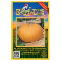 Everwilde Farms - 20 Connecticut Field Pumpkin Pumpkin Seeds - Gold Vault Seed Packet