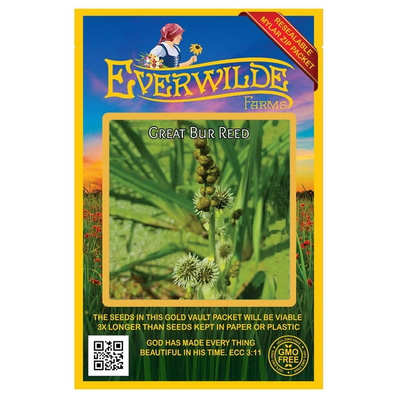 Everwilde Farms - 20 Great Bur Reed Native Wildflower Seeds - Gold Vault Seed Packet