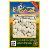 Everwilde Farms - 50 Henderson Bush Lima Bean Seeds - Gold Vault Seed Packet