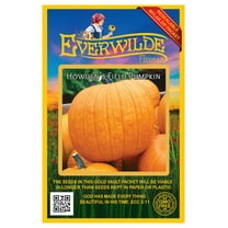 Everwilde Farms - 20 Howden's Field Pumpkin Pumpkin Seeds - Gold Vault Seed Packet