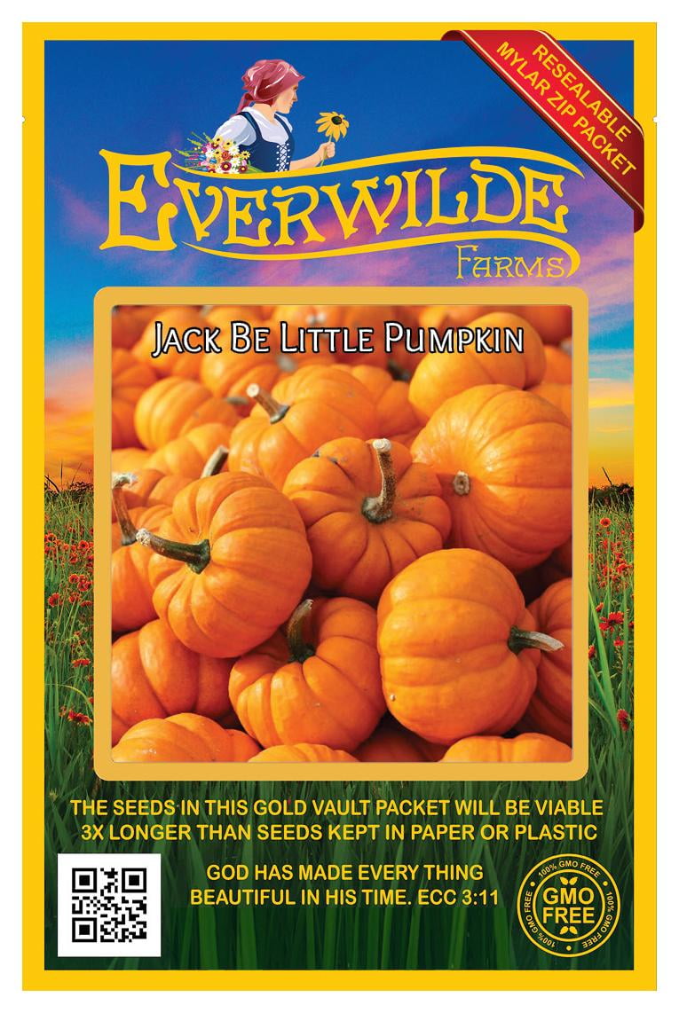 Everwilde Farms 20 Jack Be Little Pumpkin Seeds Gold Vault Jumbo