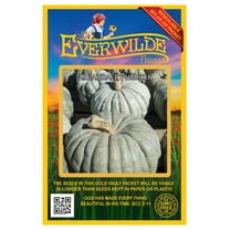 Everwilde Farms - 20 Jarrahdale Pumpkin Seeds - Gold Vault Jumbo Bulk Seed Packet