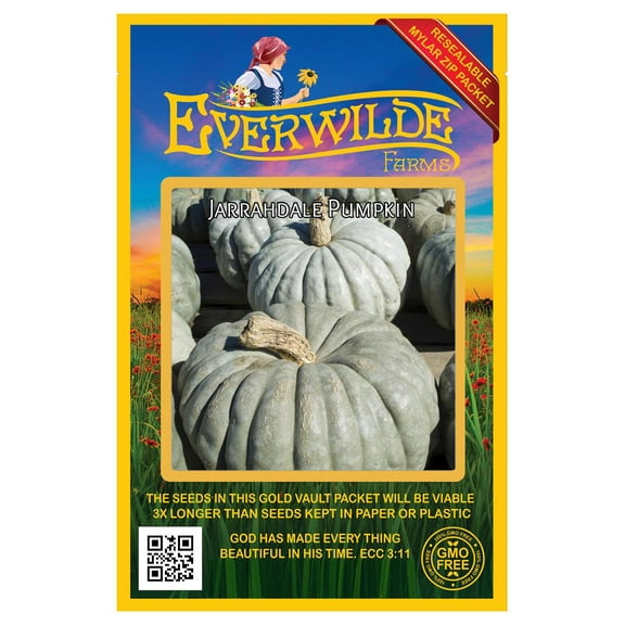 Everwilde Farms - 20 Jarrahdale Pumpkin Seeds - Gold Vault Jumbo Bulk Seed Packet