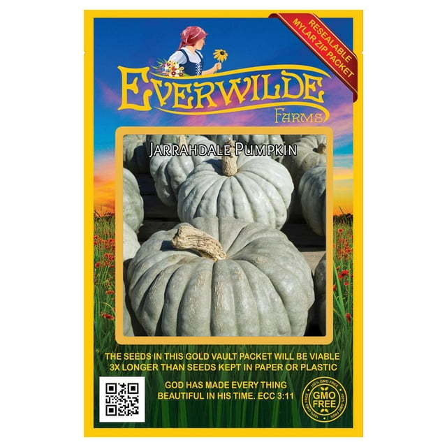 Everwilde Farms 20 Jarrahdale Pumpkin Seeds Gold Vault Jumbo Bulk