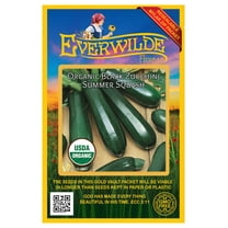 Everwilde Farms - 20 Organic Black Zucchini Summer Squash Seeds - Gold Vault Jumbo Bulk Seed Packet