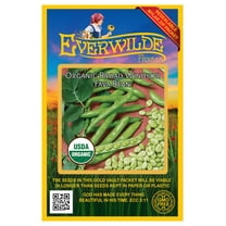Everwilde Farms - 20 Organic Broad Windsor Fava Bean Seeds - Gold Vault Jumbo Bulk Seed Packet