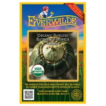 Everwilde Farms - 20 Organic Buttercrop Burgess Winter Squash Seeds - Gold Vault Jumbo Bulk Seed Packet