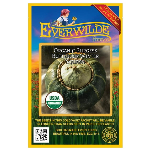 Everwilde Farms - 20 Organic Buttercrop Burgess Winter Squash Seeds - Gold Vault Jumbo Bulk Seed Packet