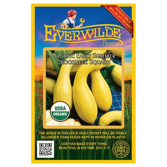 Everwilde Farms - 20 Organic Early Summer Crookneck Summer Squash Seeds - Gold Vault Jumbo Bulk Seed Packet