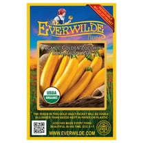 Everwilde Farms - 20 Organic Golden Zucchini Summer Squash Seeds - Gold Vault Jumbo Bulk Seed Packet