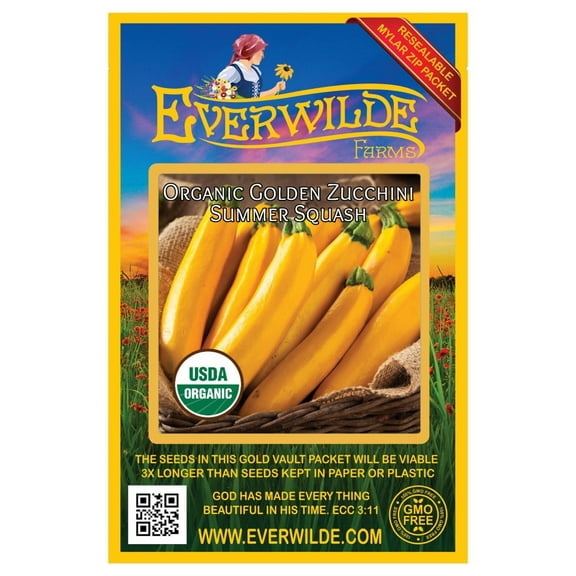 Everwilde Farms - 20 Organic Golden Zucchini Summer Squash Seeds - Gold Vault Jumbo Bulk Seed Packet