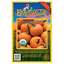 Everwilde Farms - 20 Organic Small Sugar Pumpkin Seeds - Gold Vault Jumbo Bulk Seed Packet