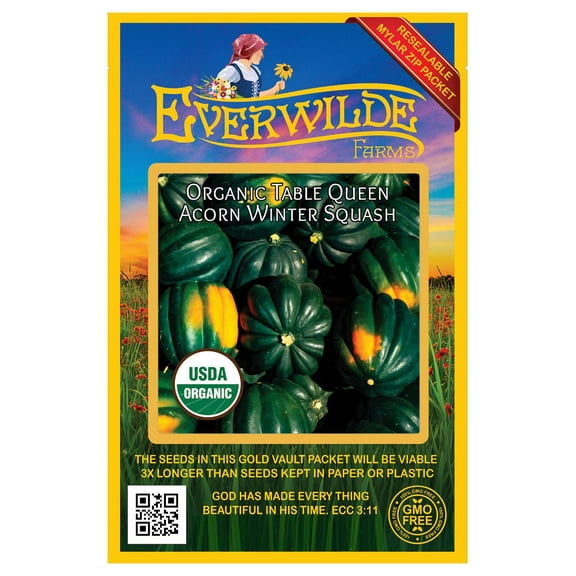 Everwilde Farms - 20 Organic Table Queen Acorn Winter Squash Seeds - Gold Vault Jumbo Bulk Seed Packet