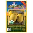 thumbnail image 1 of Everwilde Farms - 20 Organic Vegetable Spaghetti Winter Squash Seeds - Gold Vault Jumbo Bulk Seed Packet, 1 of 5