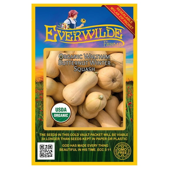 Everwilde Farms - 20 Organic Waltham Butternut Winter Squash Seeds - Gold Vault Jumbo Bulk Seed Packet