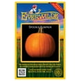 thumbnail image 1 of Everwilde Farms - 20 Spookie Pumpkin Seeds - Gold Vault Seed Packet, 1 of 5