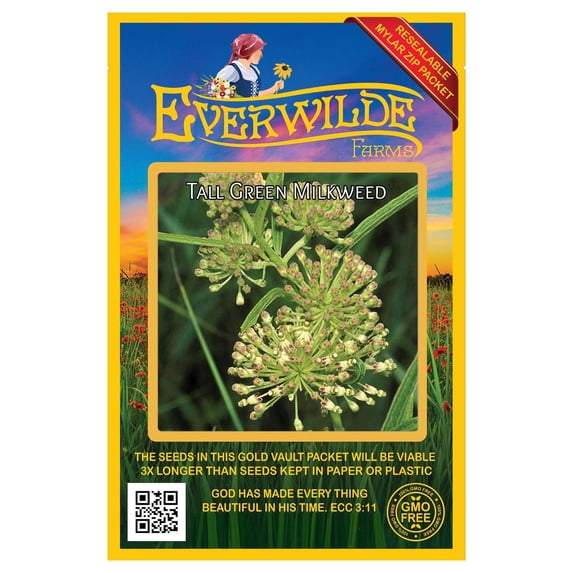 Everwilde Farms - 20 Tall Green Milkweed Native Wildflower Seeds - Gold Vault Seed Packet