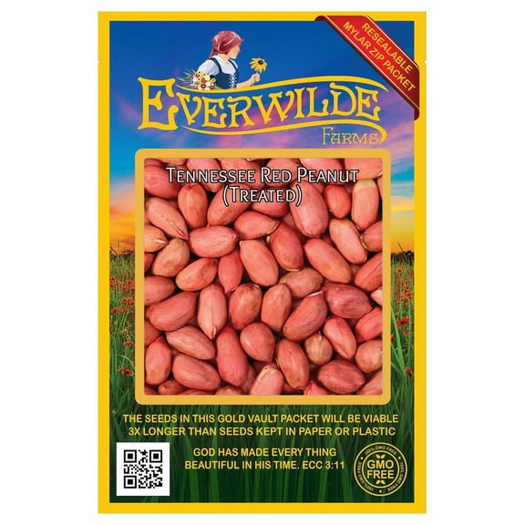 Everwilde Farms - 20 Tennessee Red Peanut Seeds (Treated) - Gold Vault Jumbo Bulk Seed Packet