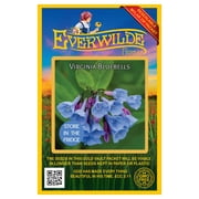 Everwilde Farms - 20 Virginia Bluebells Native Wildflower Seeds - Gold Vault Seed Packet