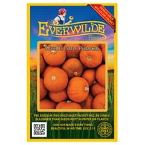 Everwilde Farms - 20 Wee Be Little Pumpkin Seeds - Gold Vault Seed Packet