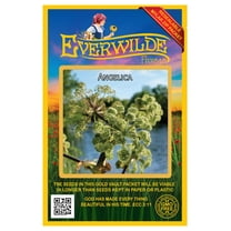 Everwilde Farms - 200 Angelica Native Wildflower Seeds - Gold Vault Jumbo Bulk Seed Packet